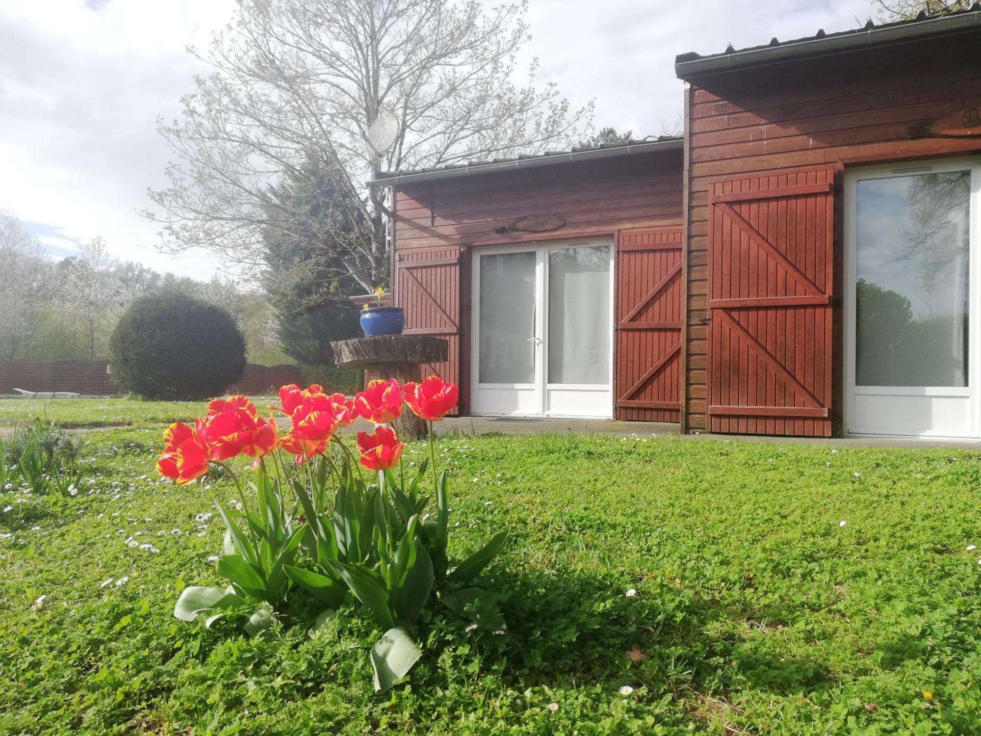 Chalets Mouliere Evasion Montamise Exterior foto
