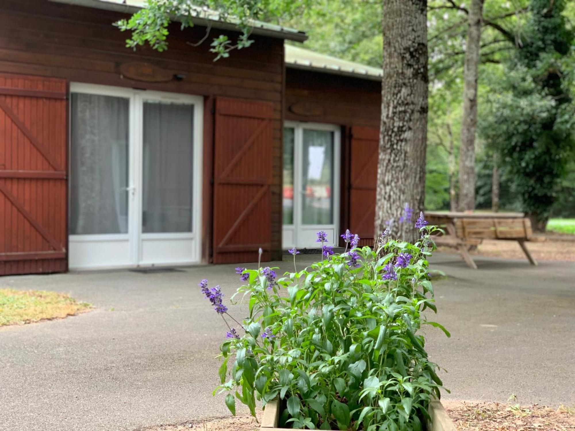 Chalets Mouliere Evasion Montamise Exterior foto