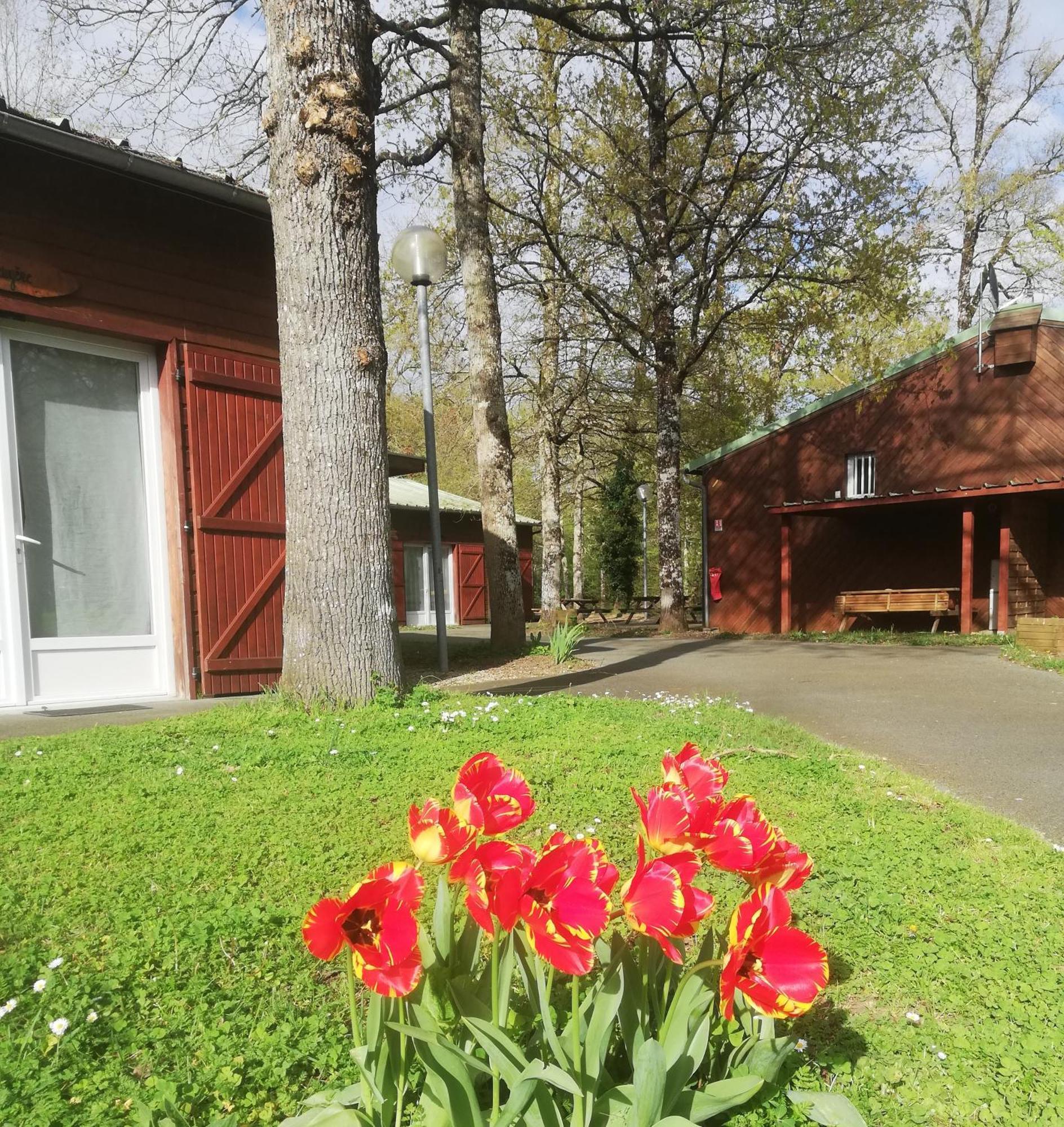Chalets Mouliere Evasion Montamise Exterior foto